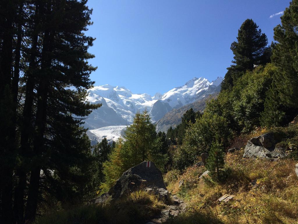 Hotel Bernina Pontresina Ngoại thất bức ảnh